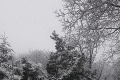 Východniari sa zobudili do bieleho rána, pri fotke z Demjaty budete krútiť hlavou: Aha, koho prikryl sneh!