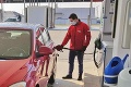 Benzín za menej ako polovicu a štvornásobné príjmy: Svetové porovnanie cien palív ukázalo realitu slovenských cien