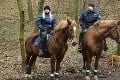 Pre slovenskú políciu pracuje 18 koní: Prísne podmienky, ktoré musí spĺňať mohutný strážca zákona!