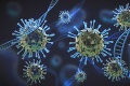 Správy, aké nechcel počuť nikto: V Británii zaznamenali nový variant vírusu s dvojitou mutáciou!