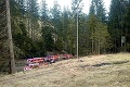 Slovenskí hasiči mali plné ruky práce: Víkend v znanení požiarov! Horeli píla, garáž aj les