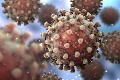 Správy, ktorých sa desí celý svet: V Indii objavili hybrid dvoch variantov koronavírusu