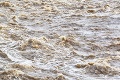 Tragické záplavy v Ásame si vyžiadali 84 mŕtvych: Utopilo sa aj deväť nosorožcov zriedkavého druhu