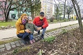 Slovensko zasiahne drastická zmena počasia: Na jar zabudnite, udrú mrazy!