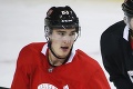 Slovákom sa v AHL darilo: Ružička proti Torontu opäť zažiaril, pridal sa aj Pospíšil