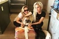 Lady Gaga po streľbe získala unesených psov späť: Zacvaká odmenu 500-tisíc?!