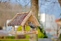 Kúpeľné mesto je pripravené na návrat vtáčích návštevníkov: Dizajnové bývanie v Trenčianskych Tepliciach