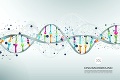 Veľkému objavu slovenských biochemikov tlieskajú v zahraničí: Vieme, ako vypnúť DNA rakovine aj vírusom!