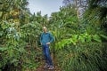Angličan si 34 rokov pestuje domácu džungľu: Zo záhrady má prales!