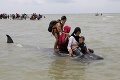 Zábery, ktoré trhajú srdce: Pri indonézskom ostrove uhynulo 46 delfínov