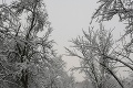 Slovensko zasypal sneh, niekde majú kalamitu, inde idylku: To, čo nafotila Iveta, vás však odrovná!