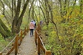 Na Zemplíne vyhlásili novú prírodnú rezerváciu: Úchvatné, čo ukrýva hlboko v lesoch