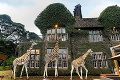 Raňajky u žiráf: Hotel Giraffe Manor ponúka lákavú atrakciu, za ktorú si poriadne zacvakáte