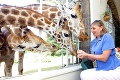 Raňajky u žiráf: Hotel Giraffe Manor ponúka lákavú atrakciu, za ktorú si poriadne zacvakáte