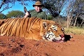 Jánovi hrozí za uloveného tigra basa: Ako funguje krvavý biznis v Afrike!