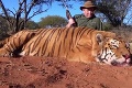 Zábery, z ktorých vám stisne srdce: Ján v Afrike ulovil tigra, môže skončiť za mrežami na niekoľko rokov