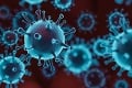 Vedci jasajú, na videu po prvý raz zachytili šírenie koronavírusu telom: Zásadné zistenia!