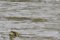 Novým Zámkom hrozia povodne: Primátor vyhlásil mimoriadnu situáciu