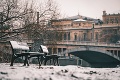 Miro sa vybral na prechádzku vianočnou Prahou, že nafotí toto, ani v sne nečakal: Veľká vzácnosť v českej metropole!