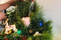 Matka sa tešila z vianočného stromčeka: Pozrela sa naň a... Fuj! Nechutné, čo tam našla