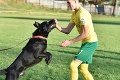 Žilinskí futbalisti so srdcom na pravom mieste: Nafotili kalendár so psíkmi z útulku!