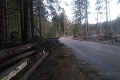 Spúšť v Tatranskom národnom parku: Vietor vyvrátil a polámal tisícky stromov