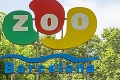 V barcelonskej zoo sa koronavírusom nakazili 4 levy: Jasné príznaky