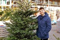 Koľko vysolíte za vianočný stromček v Bratislave? Cena sa môže vyšplhať poriadne vysoko