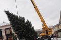 Symbol Vianoc zdobí aj Liptovský Mikuláš: Strom bude po sviatkoch plniť dôležitú úlohu