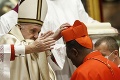Pápež František vymenoval 13 nových kardinálov: Medzi nimi je aj prvý Afroameričan