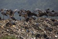 Čína už nechce byť najväčším odpadkovým košom na svete: Od januára zakáže dovoz všetkého odpadu zo zahraničia