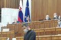 Po fotke z parlamentu sa Slováci pustili do Matovičovej poslankyne: Vtipy a kritika kvôli oblečeniu!