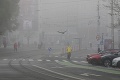 Meteorológovia varujú: Celé Slovensko môže v stredu potrápiť hmla aj poľadovica