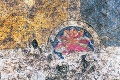 Slovenským archeológom sa podaril unikátny nález: V Gombaseku odhalili 600-ročné vzácne fresky