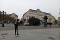 Bratislava bude bez trhov, no stromček nesmie chýbať: Mesto zdobí desaťmetrový smrek
