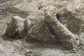 Pompeje odkryli unikátne pozostatky: Pán a otrok zomreli spolu