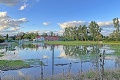 Kuriozita na ihrisku na západe Slovenska: Namiesto futbalovej jedenástky labutie jazero