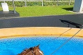 Obrovský úspech koňa v slovenskom chove: Vandualovi pomohol k výsledku plavecký tréning