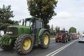 Poľsko navrhuje nový zákon o ochrane zvierat: Farmári sú nespokojní, vyšli do ulíc