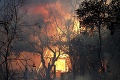 Zábery skazy! Obrovský požiar zachvátil vinársku oblasť v Kalifornii: Evakuovali aj nemocnicu