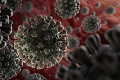Vedci zistili, že koronavírus zmutoval: Nová verzia je podľa štúdie deväťkrát nákazlivejšia
