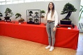 V Košiciach vystavovali nádherné bonsaje: Cena najvzácnejších sa šplhá na desaťtisíce eur