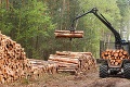 Vedci bijú na poplach: Množstvo dreveného uhlia v EÚ môže pochádzať z nelegálnej ťažby dreva