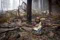 Západ USA sužujú zničujúce požiare: Dym sa dostal aj do Európy, hrozivé zistenie vedcov