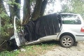 Tragická nehoda v okrese Levice: Vodič neprežil čelný náraz do stromu