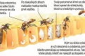 V Košiciach odštartovali boj proti nepriateľovi včiel zaujímavou metódou: Ako pomôže rotačný úľ?