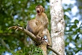 Comedy Wildlife Photo hľadá najvtipnejšiu fotku z divočiny: Dokážeš sa nezasmiať?