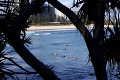 Tragédia v Austrálii: Žralok zabil surfistu († 46), nález v sieti budú vyšetrovať úrady