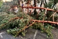 Bratislava hlási po búrke polámané stromy, meteorológovia hovoria o downburste