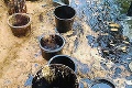 Maurícius ohrozuje 4 000 ton paliva: Ropné peklo v tropickom raji